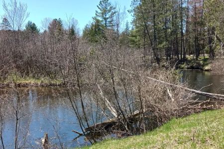CCC Bridge State Forest Campground