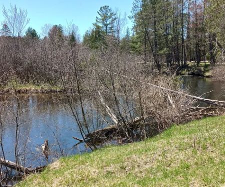 CCC Bridge State Forest Campground