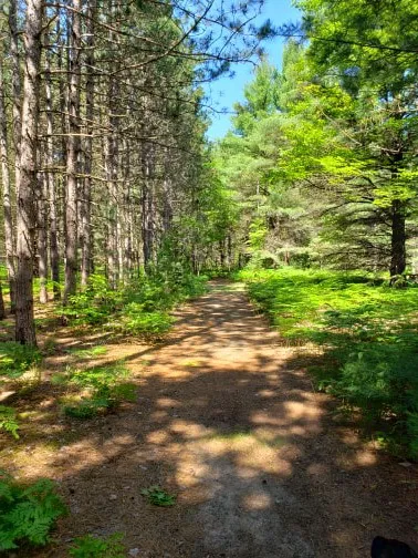 Kalkaska RV Park & Campground 4