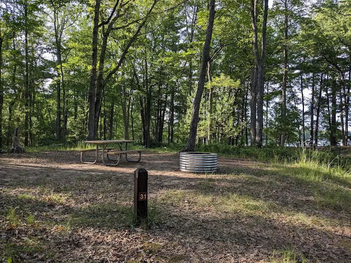 Lake Margrethe State Forest Campground 6