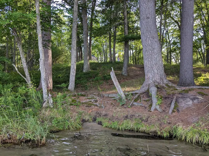 Lake Margrethe State Forest Campground 7