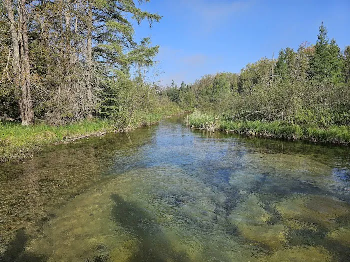 Lake Margrethe State Forest Campground 9