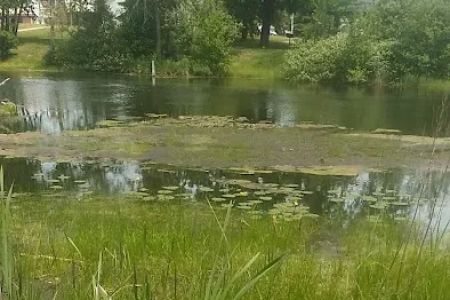 Natural Resources Department