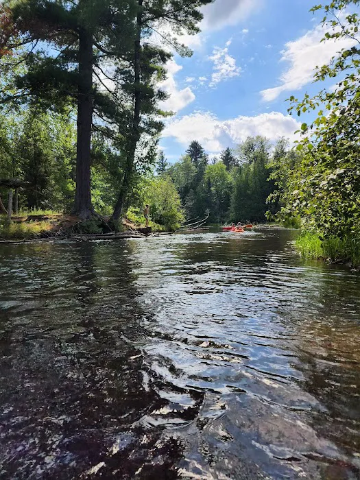 Au Sable Canoe Camp Ground 2
