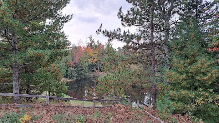 Au Sable Canoe Camp Ground 3