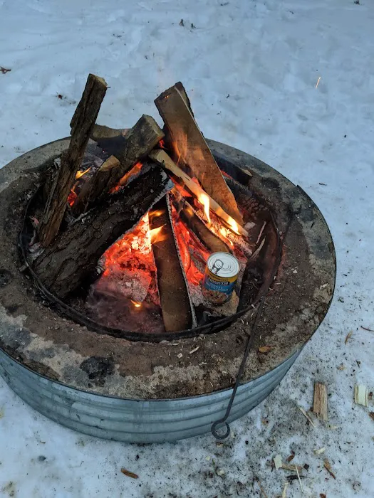 Keystone Landing State Forest Campground 9