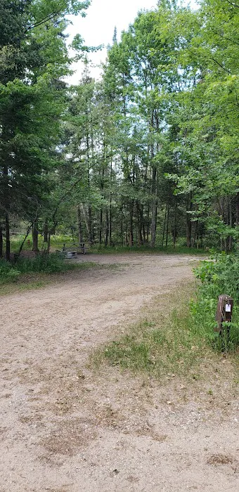 Keystone Landing State Forest Campground 7
