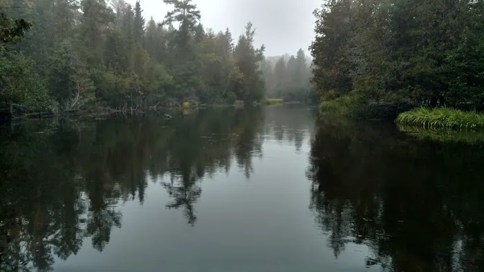 Keystone Landing State Forest Campground 5