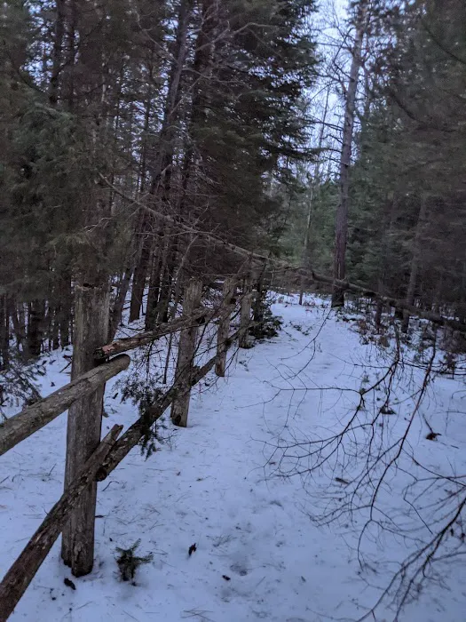 Keystone Landing State Forest Campground 4