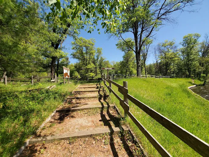 Rainbow Bend State Forest Campground 10