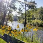 Rainbow Bend State Forest Campground