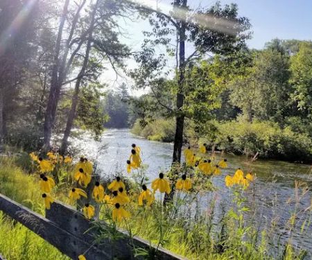 Rainbow Bend State Forest Campground