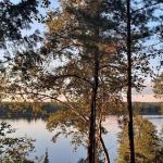 Mio Pine Acres Cabins Campground