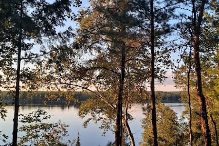 Mio Pine Acres Cabins Campground