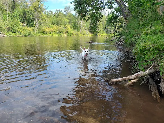 Parmalee Bridge State Forest Campground 3