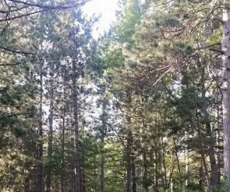 Cherry Creek Retreat