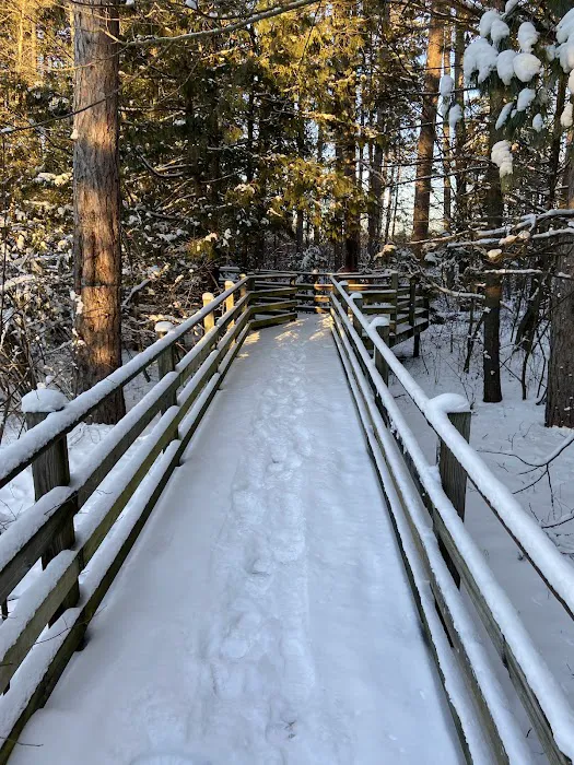 Oscoda County Park 6