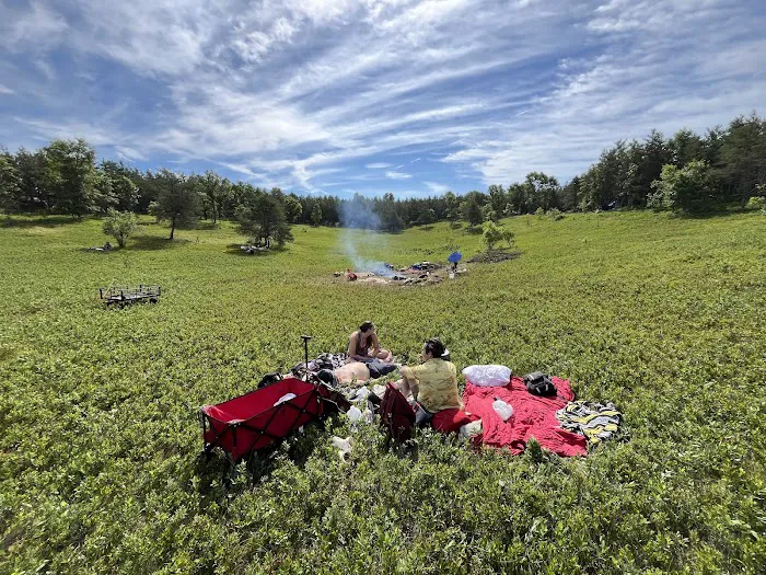 Mio Pond State Forest Campground circle camp 7