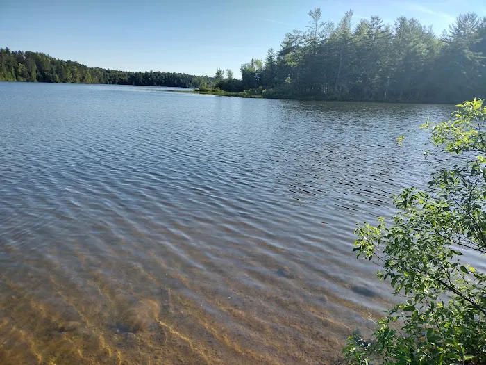 Mio Pond State Forest Campground circle camp 9