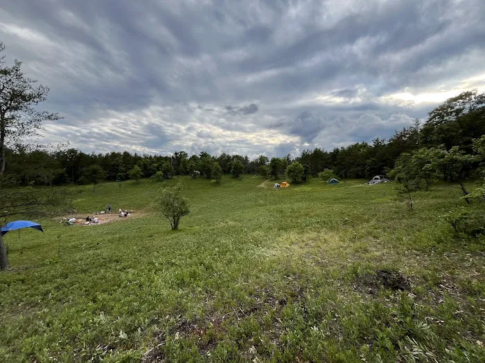 Mio Pond State Forest Campground circle camp 3