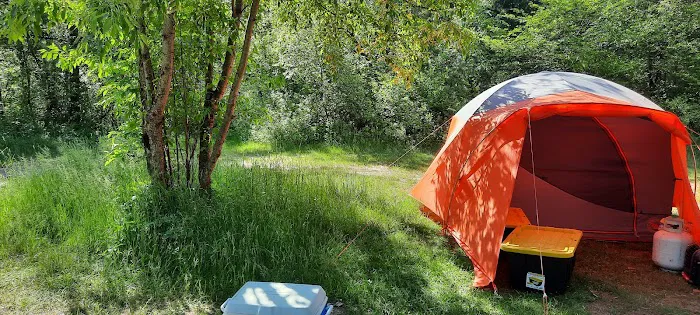 Au Sable Loop Campground and Day Use Area 1