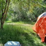 Au Sable Loop Campground and Day Use Area