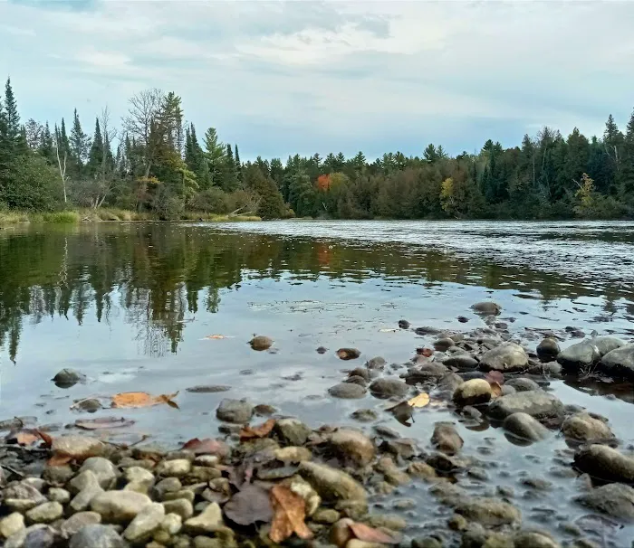 Meadow Springs Campground 7