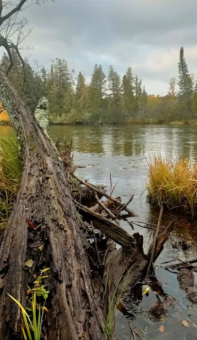 Meadow Springs Campground 4