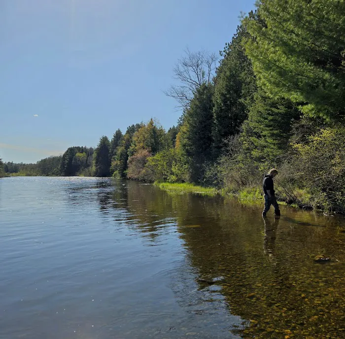 Meadow Springs Campground 8