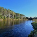 Meadow Springs Campground