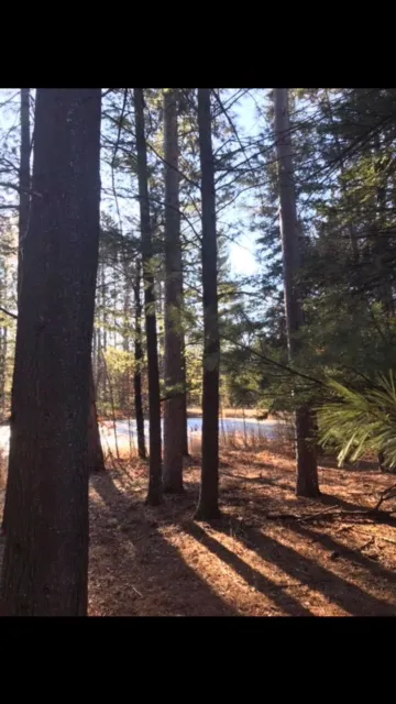 Lakewood Campground 9