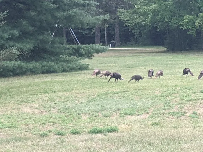 Lakewood Campground 5