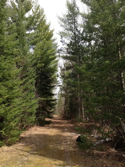 Lakewood Campground 10