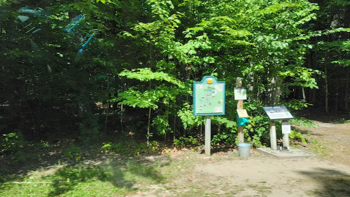Hartwick Pines State Park Campground 4