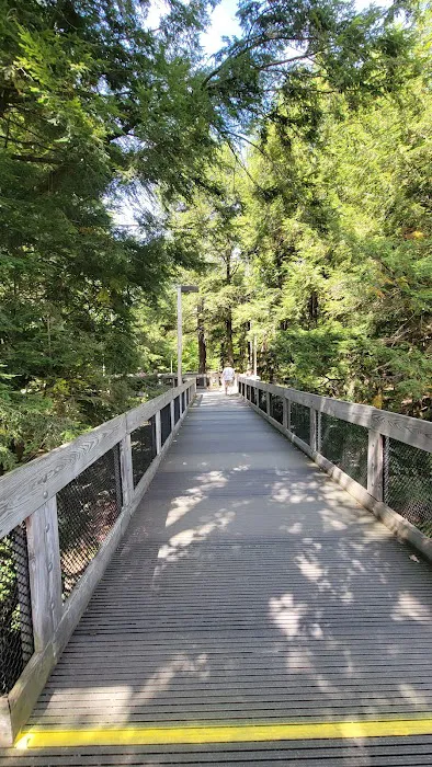 Hartwick Pines State Park Campground 7