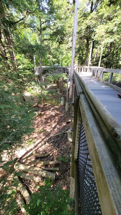 Hartwick Pines State Park Campground 6