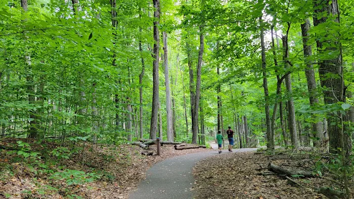 Hartwick Pines State Park Campground 5