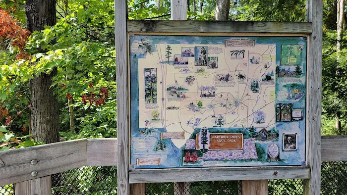 Hartwick Pines State Park Campground 9