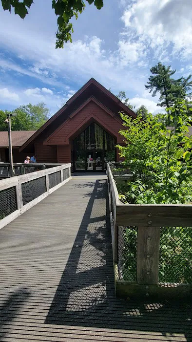 Hartwick Pines State Park Campground 2
