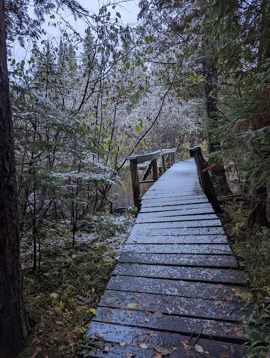 Hartwick Pines State Park Campground 8