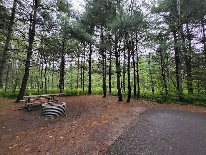 Hartwick Pines State Park Campground 7
