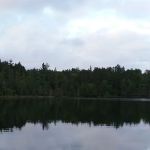 Hartwick Pines State Park Campground
