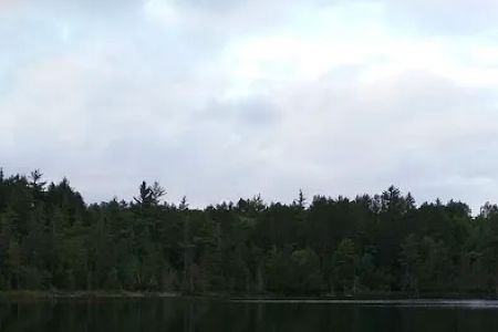 Hartwick Pines State Park Campground