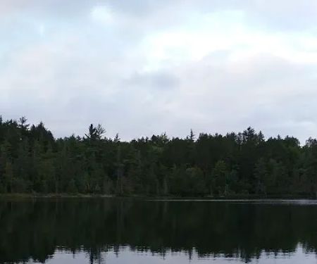 Hartwick Pines State Park Campground