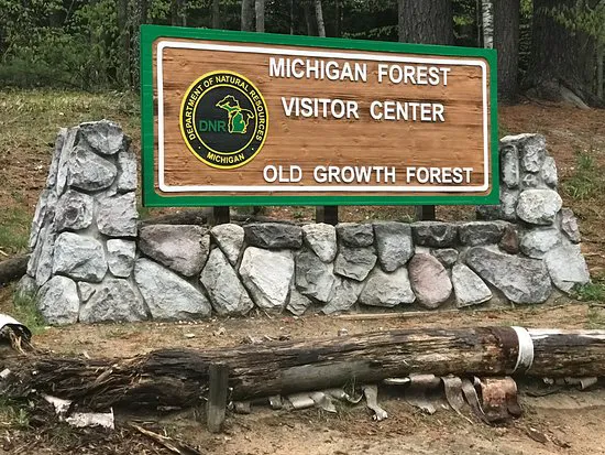 Hartwick Pines State Park Campground 3
