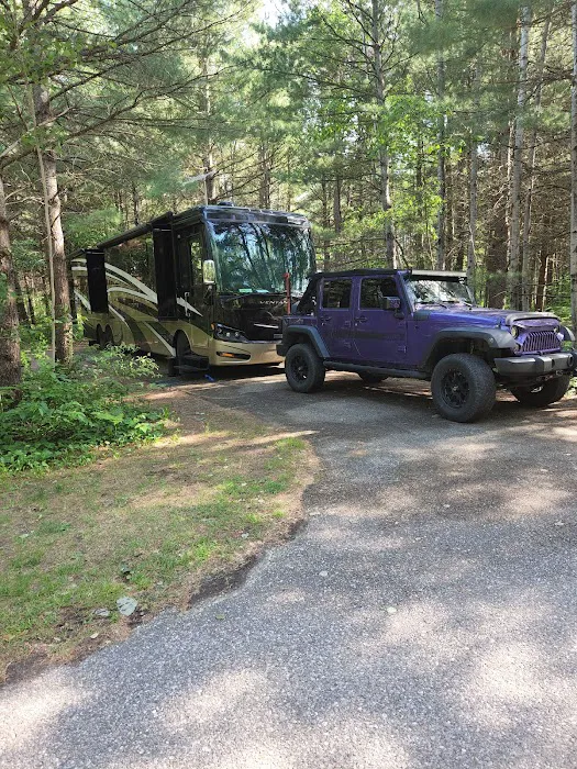 Hartwick Pines State Park Campground 10