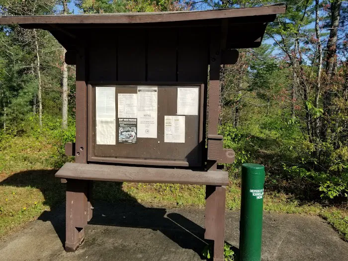 Jones Lake State Forest Campground 8