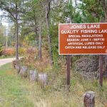 Jones Lake State Forest Campground