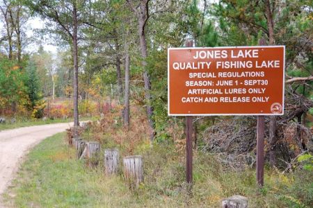 Jones Lake State Forest Campground