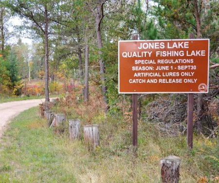 Jones Lake State Forest Campground